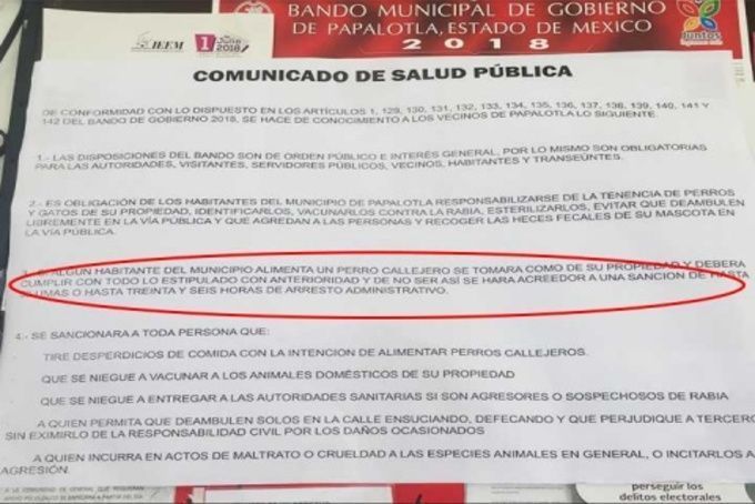Proponen multar a personas que alimenten a perros callejeros Proponen multar a personas que alimenten a perros callejeros
